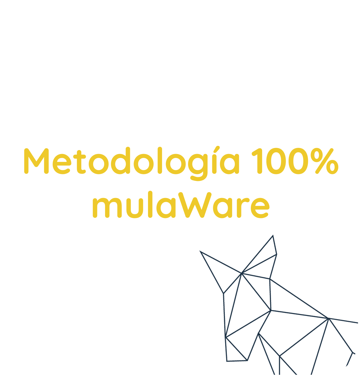 System • Imagen y texto
